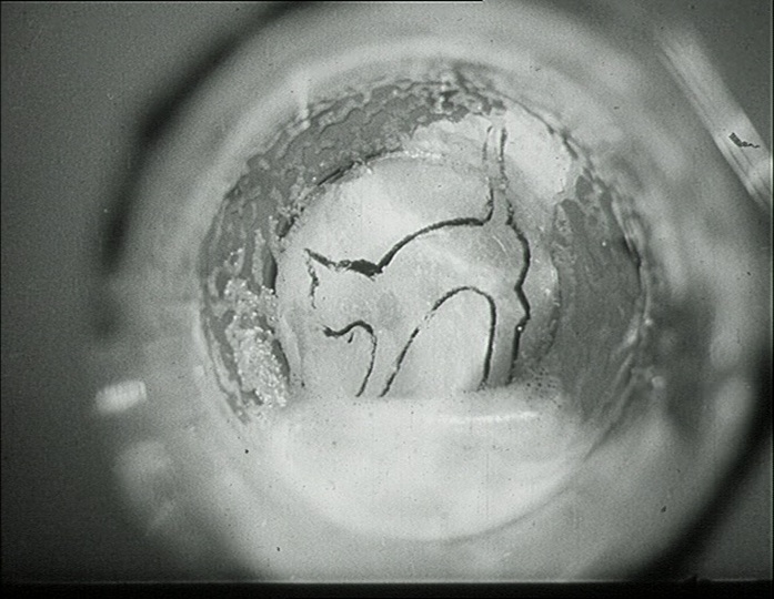 Filmexport Home Video (frame 13506)