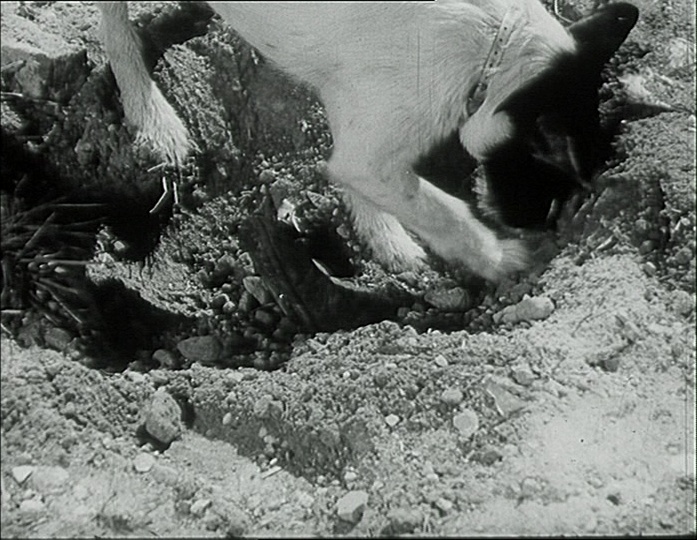 Filmexport Home Video (frame 47949)