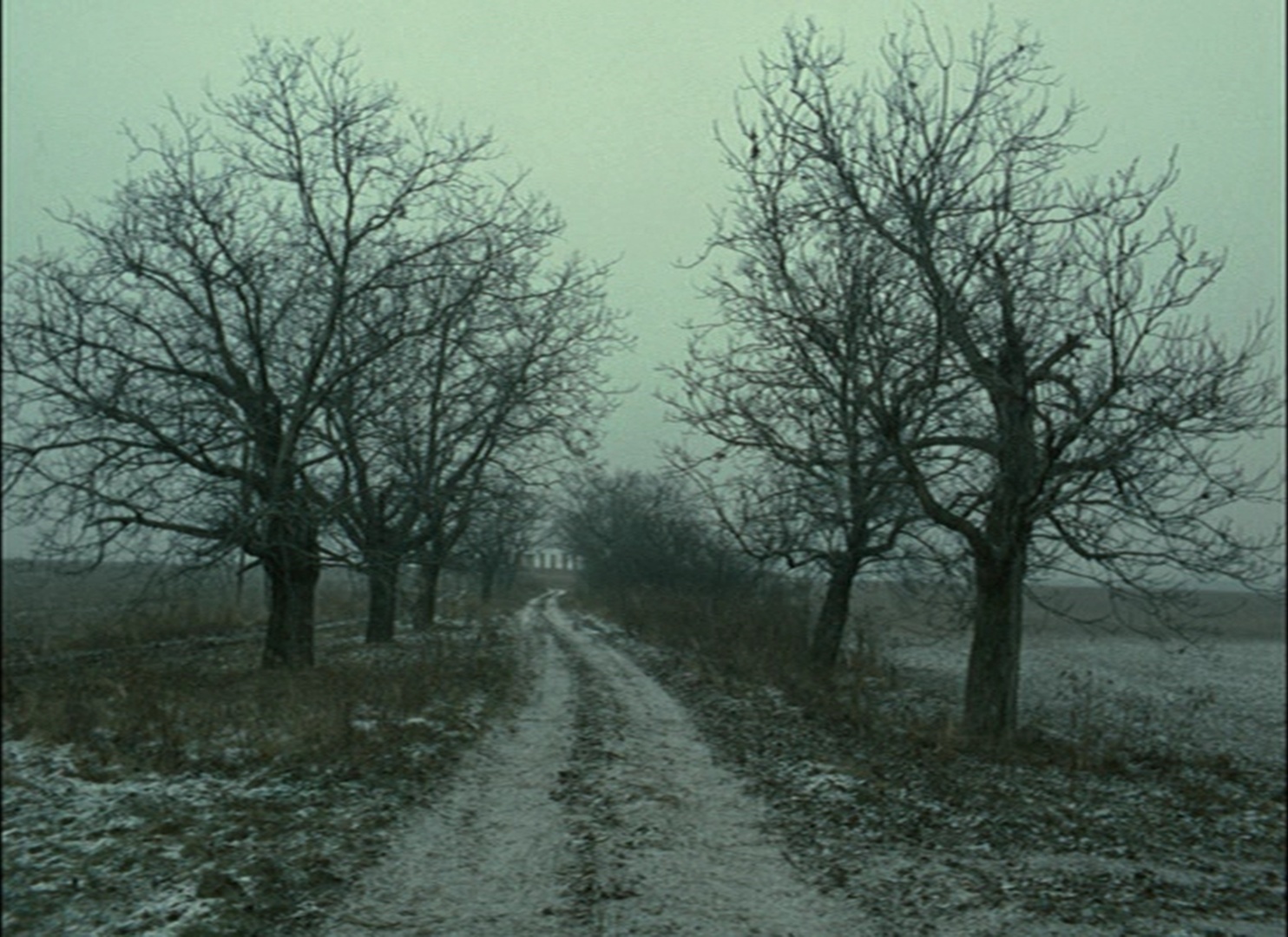 Bohemia Motion Pictures (frame 113427)