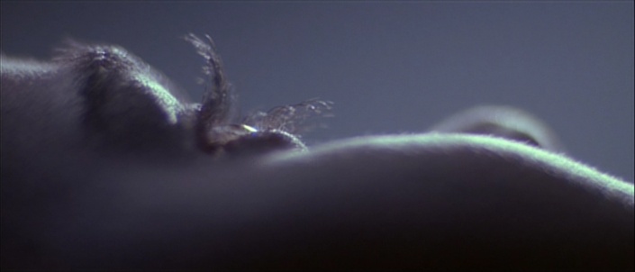 Alien Legacy / R2 (frame 22594)