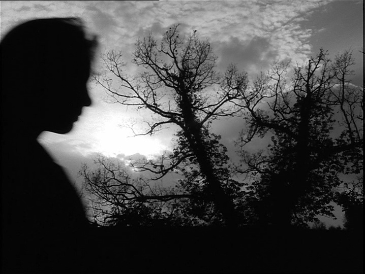 Noshame Films (frame 35950)