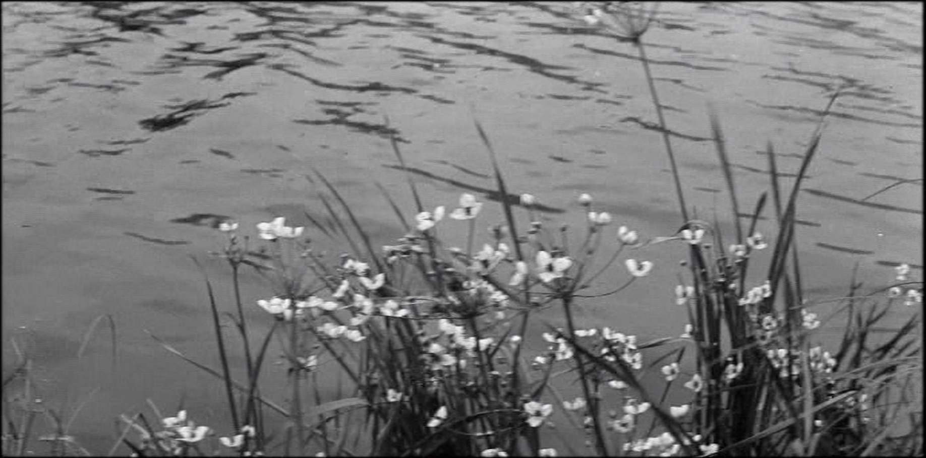 Artificial Eye / Zóna & Aerofilms (snímek 87985)