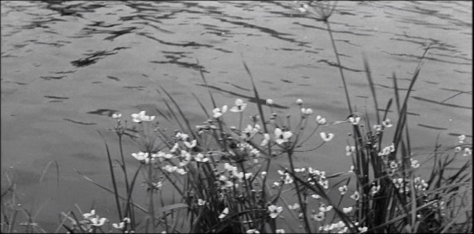 Artificial Eye / Zóna & Aerofilms (snímek 87985)