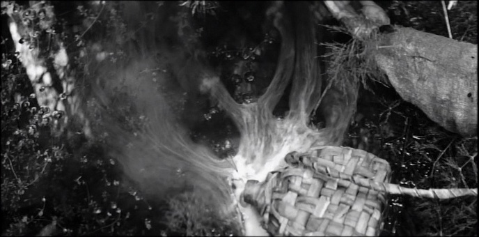 Artificial Eye / Zóna & Aerofilms (snímek 112866)