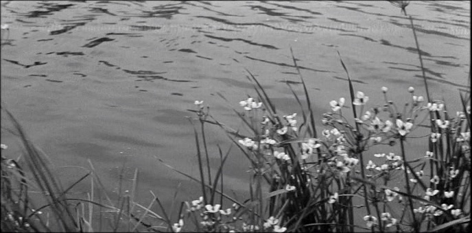 Artificial Eye / Zóna & Aerofilms (snímek 87966)