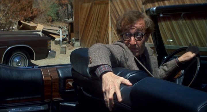 MGM (snímek 123964)