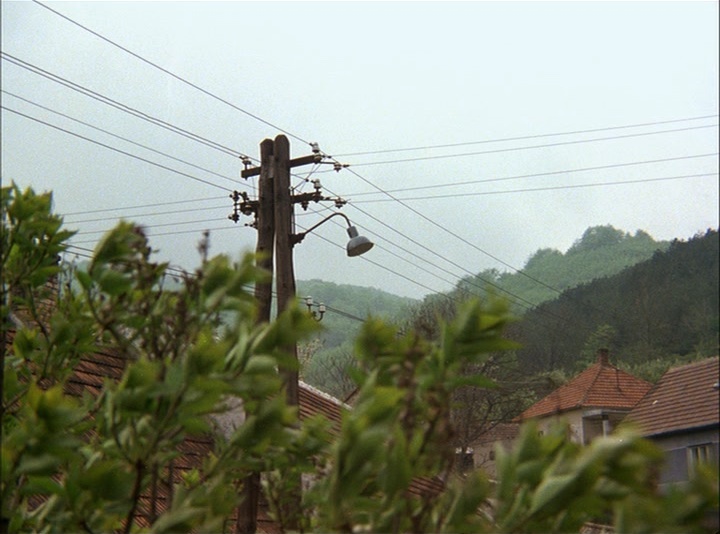 SFI & The Daily SME (frame 53751)