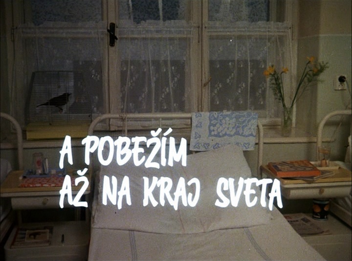 SFI & The Daily SME (frame 1825)