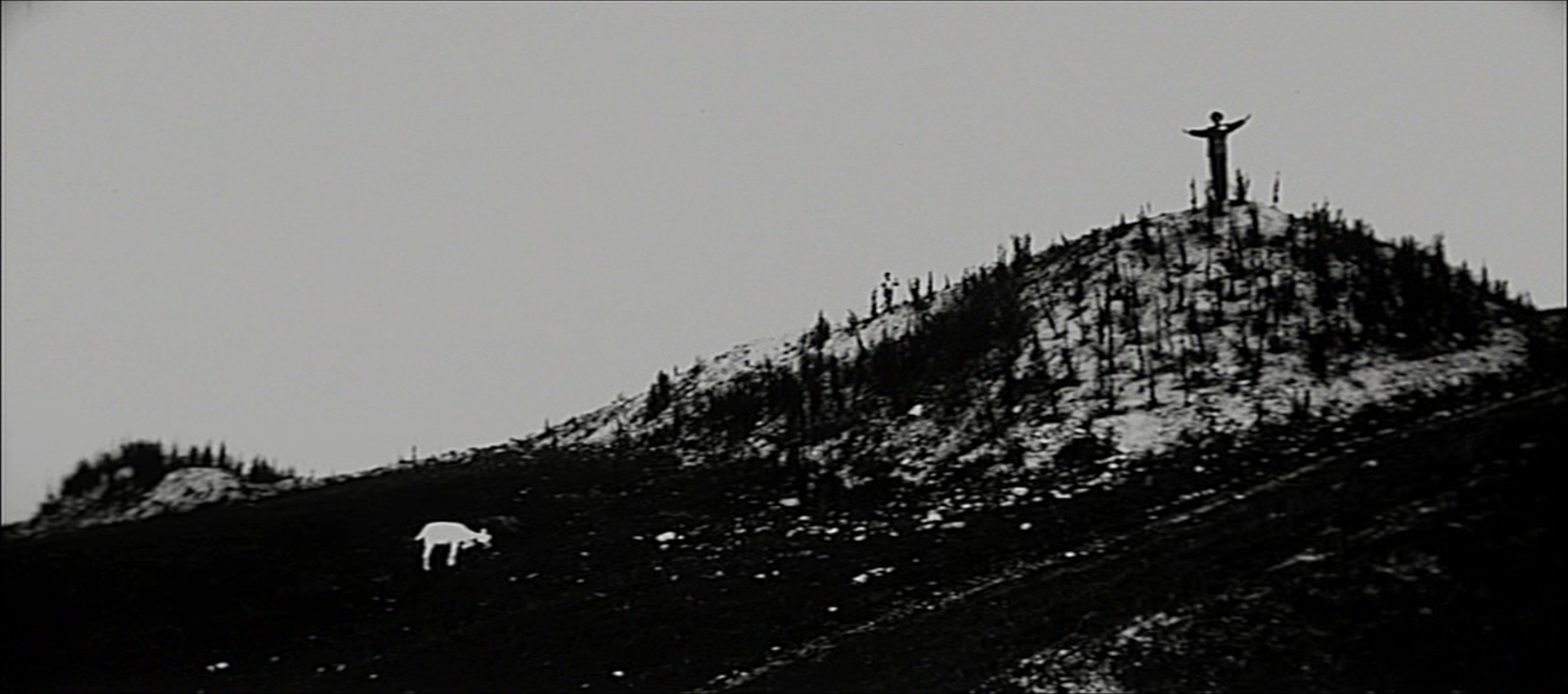 CČV/Bonton (frame 53175)