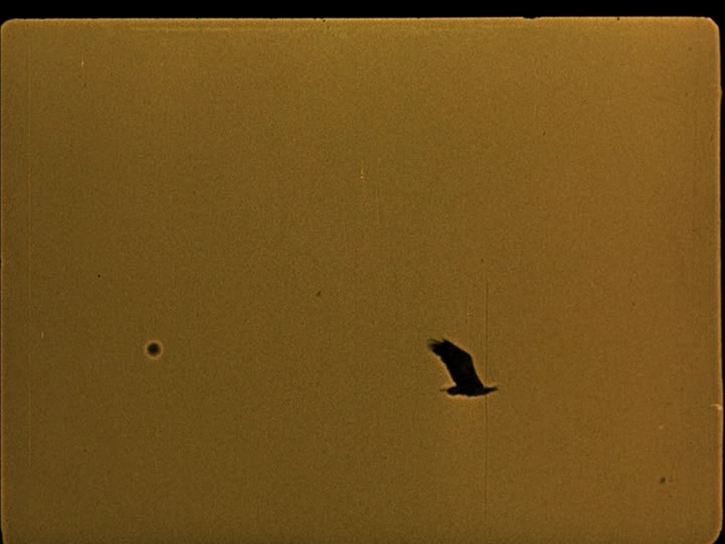 Track Media / Sinister Film (frame 47175)