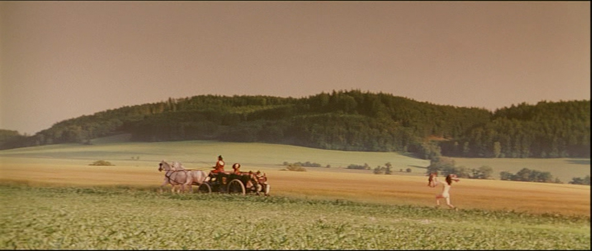 Pro Video (frame 57195)