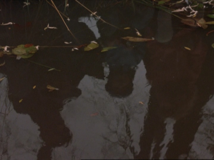 Intergroove (frame 42177)