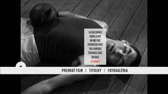 Subtitles