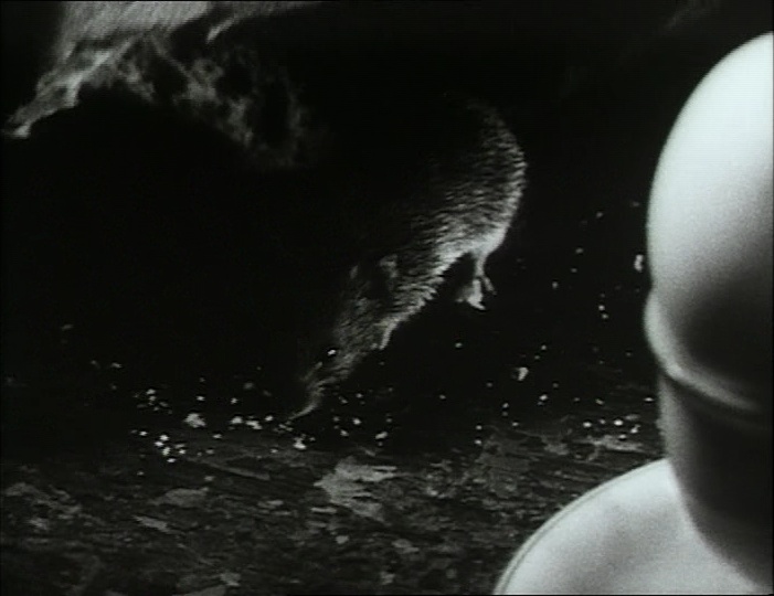 BFI (frame 6904)