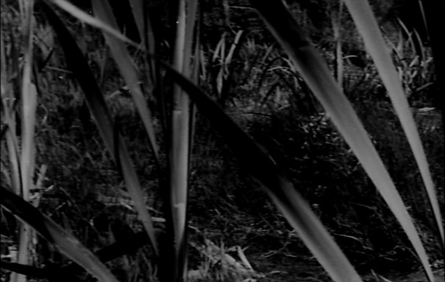 Noshame Films (frame 63183)