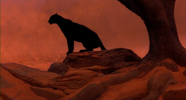 Universal Pictures (frame 3829)