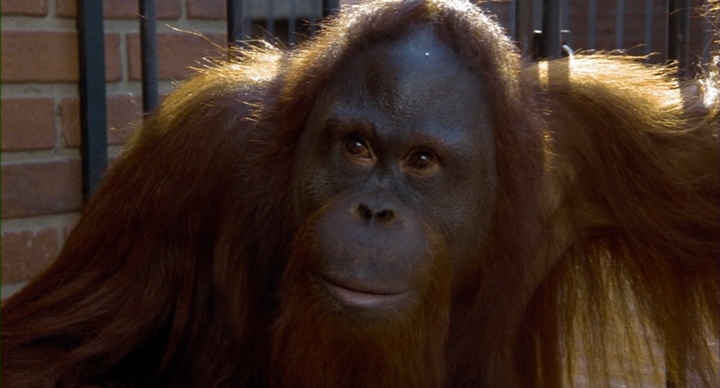 Universal Pictures (frame 55650)