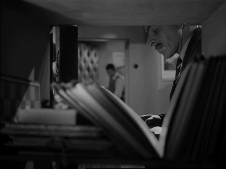 SFI & The Daily SME (frame 19516)