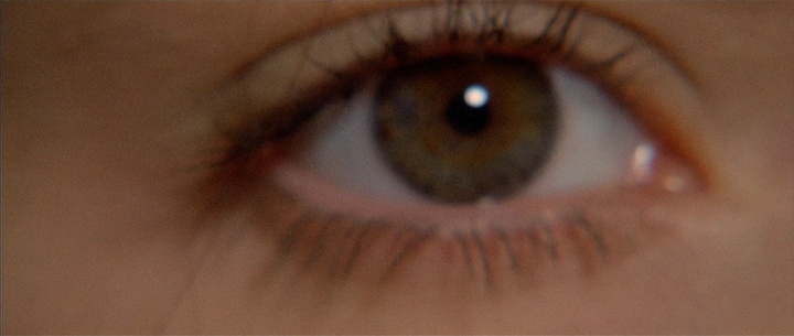 IIF Home Video / 01 Distribution (frame 5161)