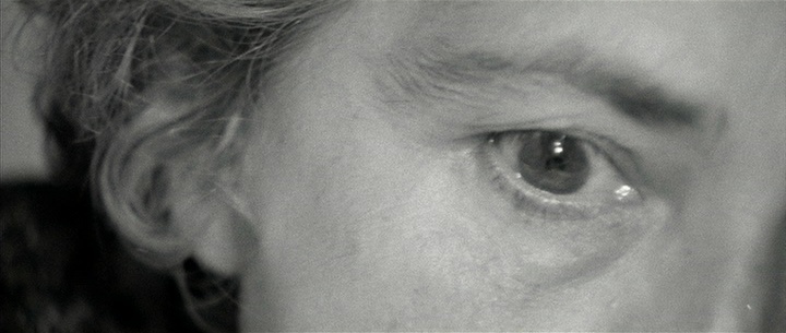 IIF Home Video / 01 Distribution (frame 139907)