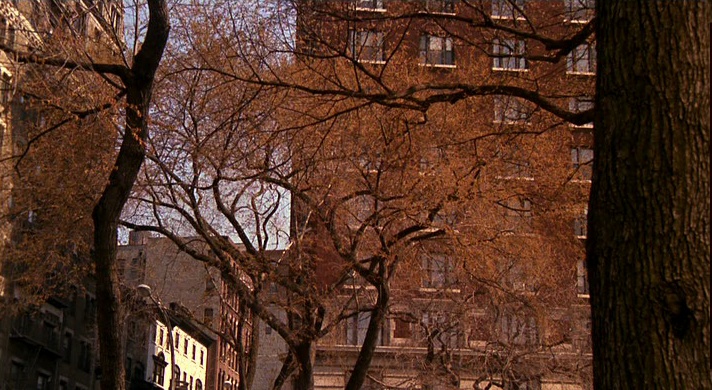 MGM (snímek 32700)
