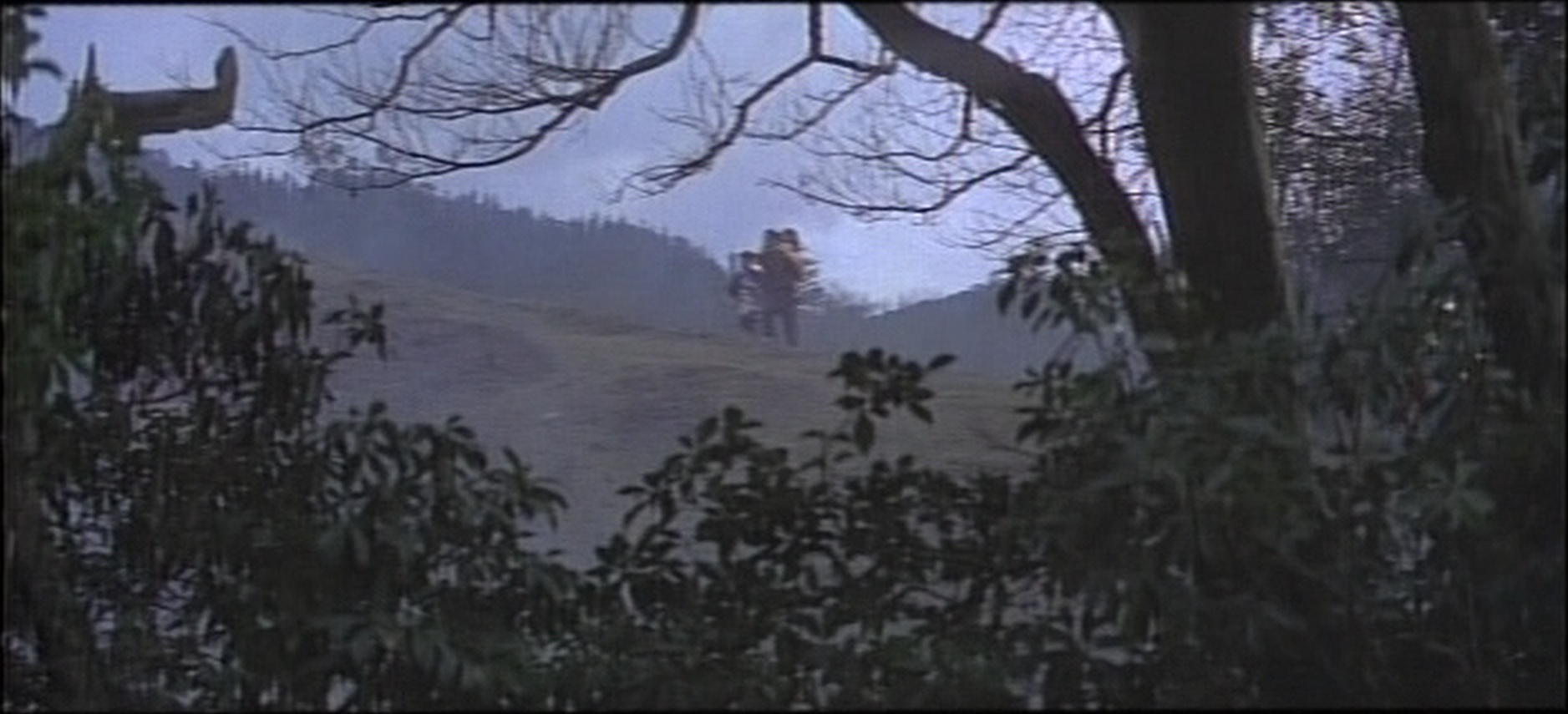 ADV Films (frame 21430)
