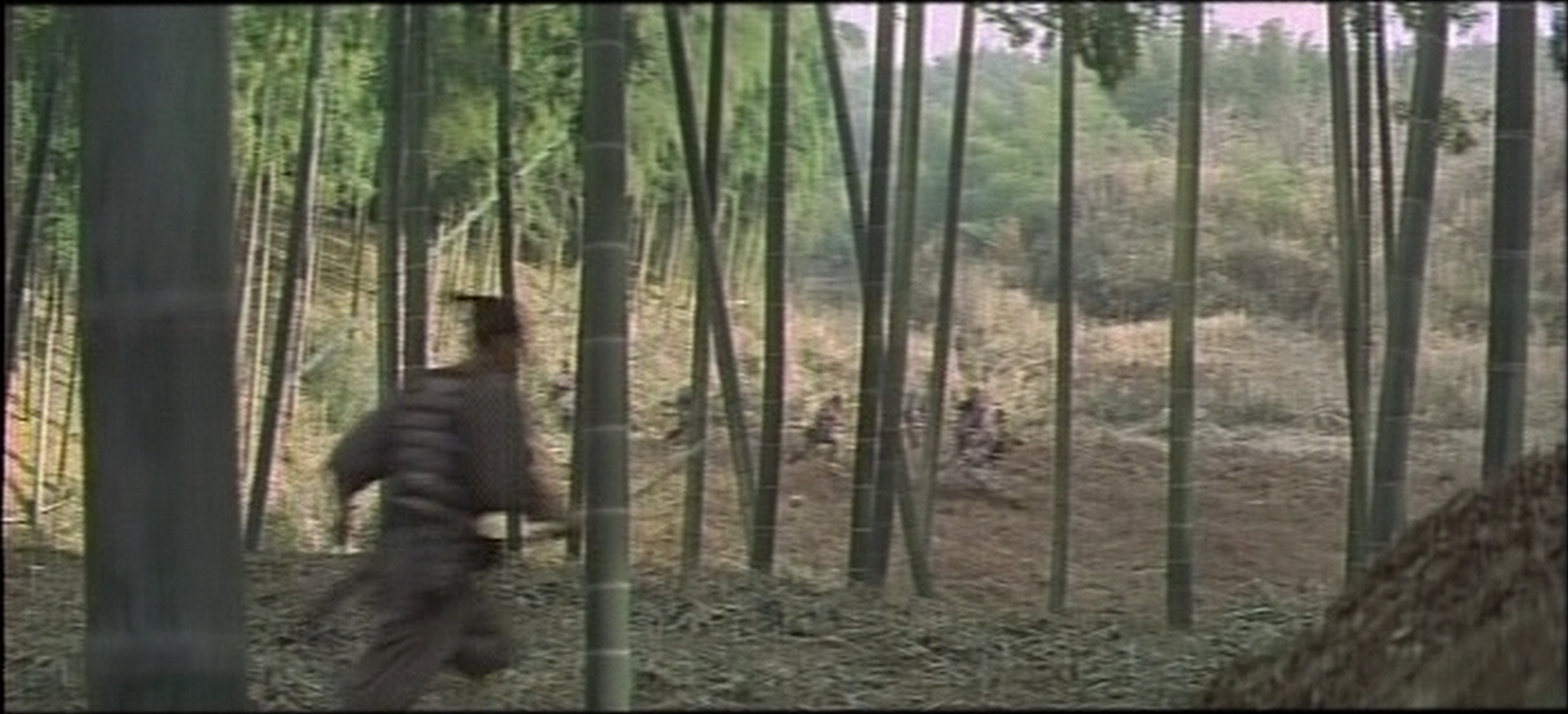 ADV Films (frame 48476)