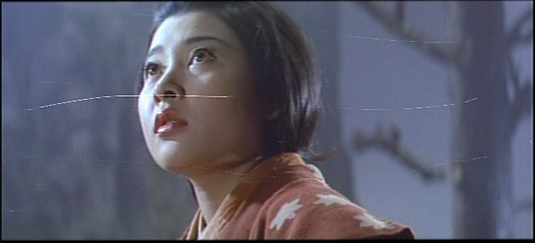 ADV Films (frame 91420)