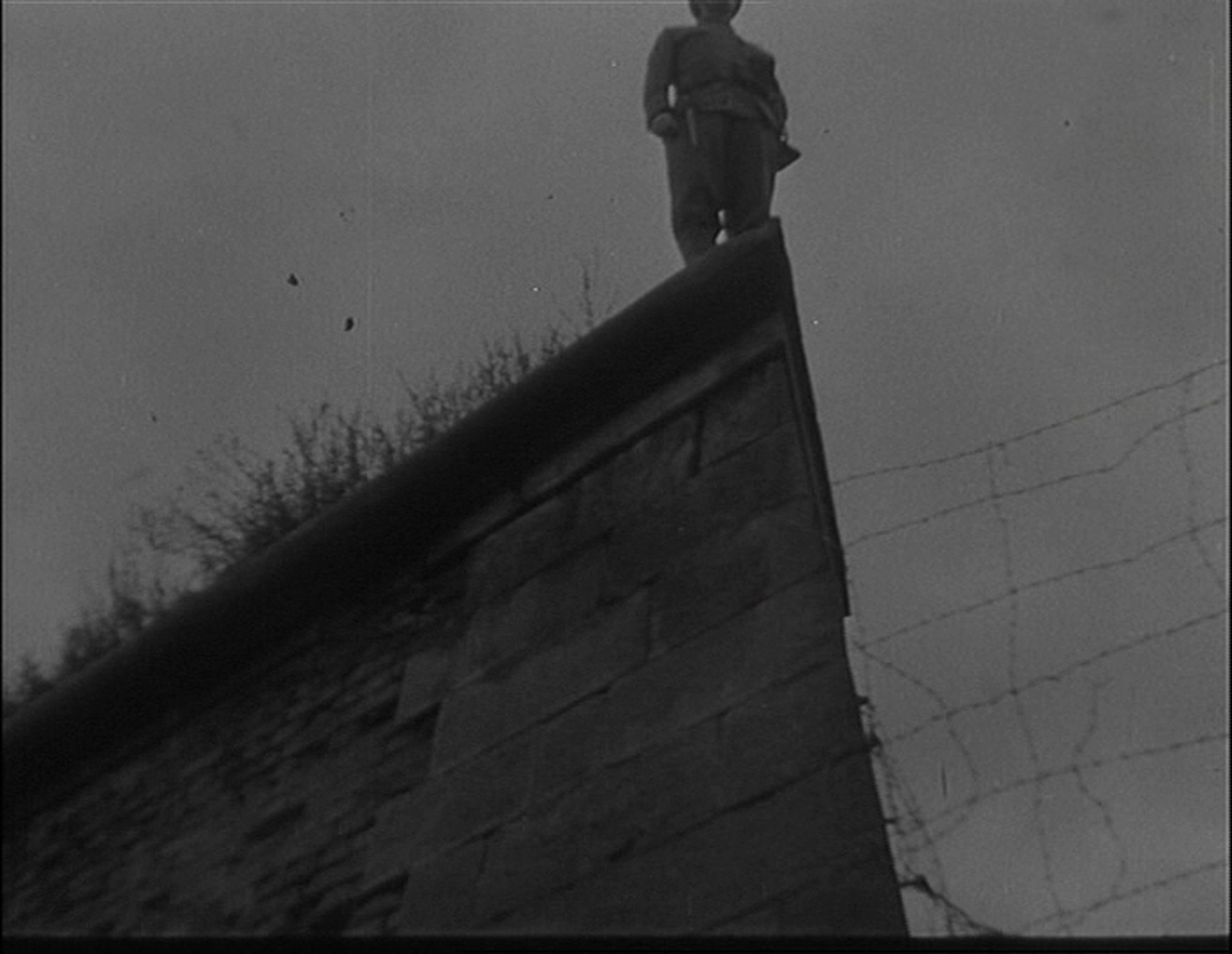 Filmexport Home Video (frame 62358)