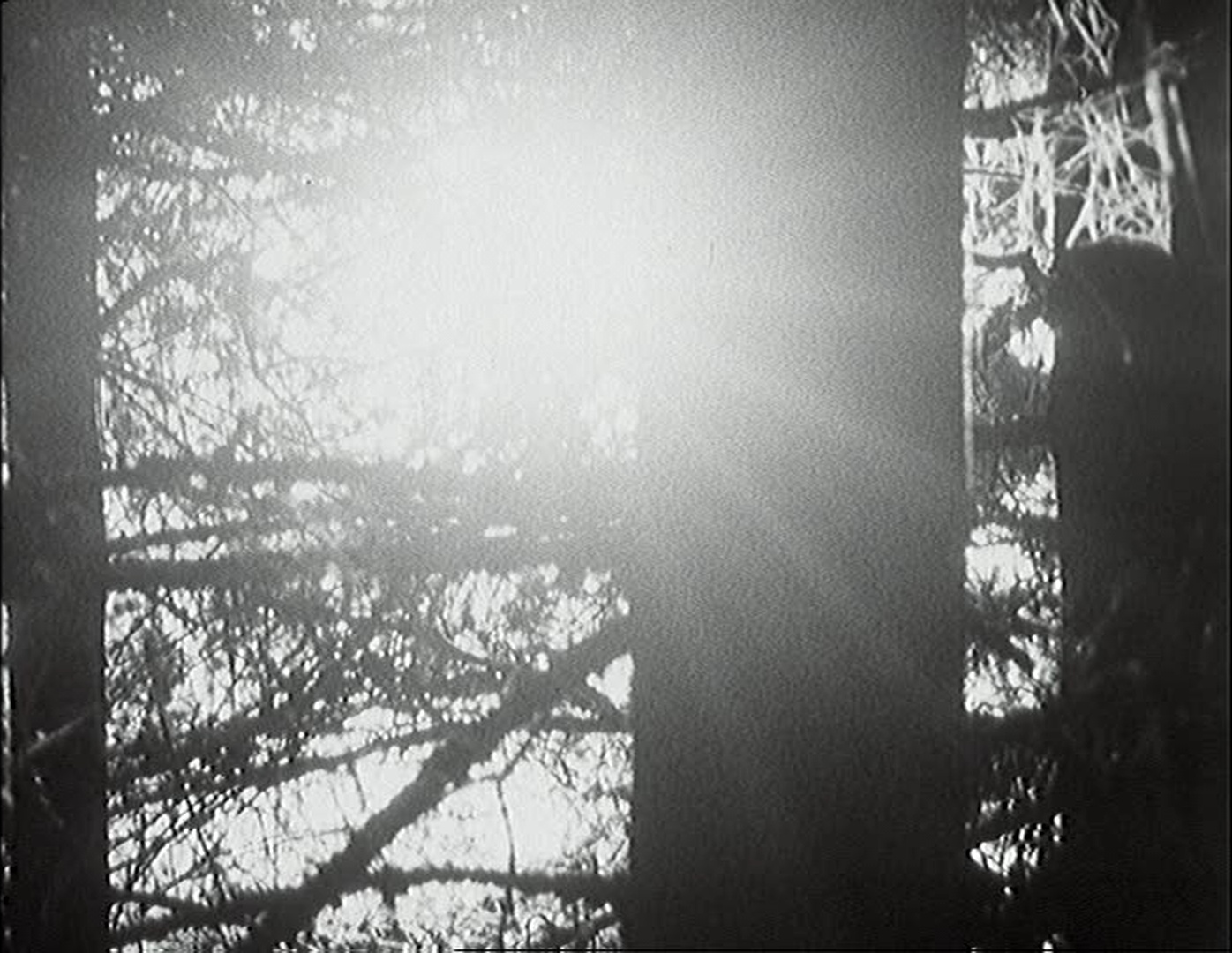 Filmexport Home Video (frame 28120)