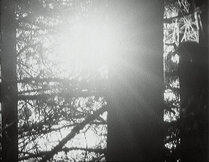 Filmexport Home Video (frame 28120)