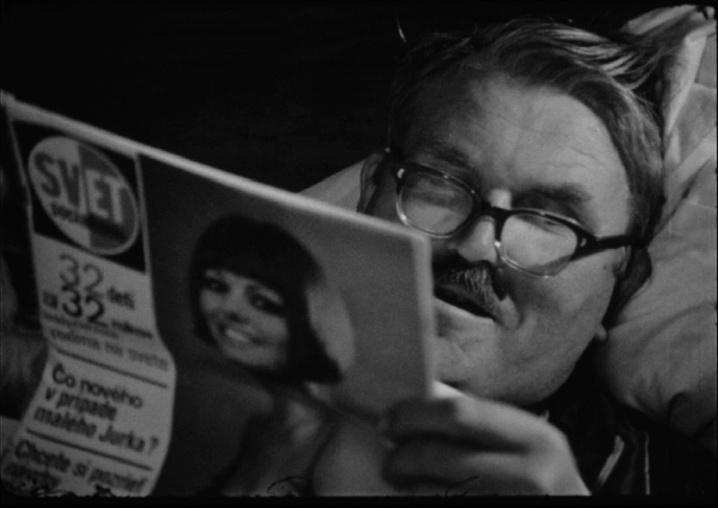 SFI & The Daily SME (frame 53886)