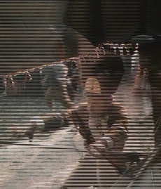 Frame 48853