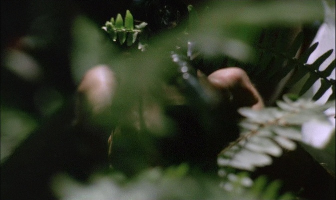 Universum Film (frame 4817)