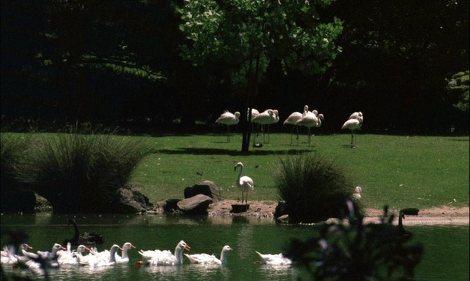 Universum Film (frame 63053)