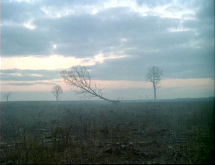 RusCiCo (frame 42236)