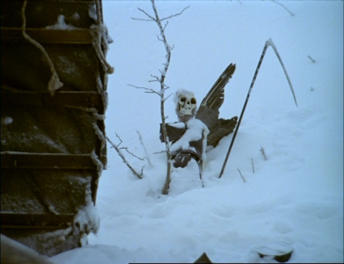 RusCiCo (frame 138906)