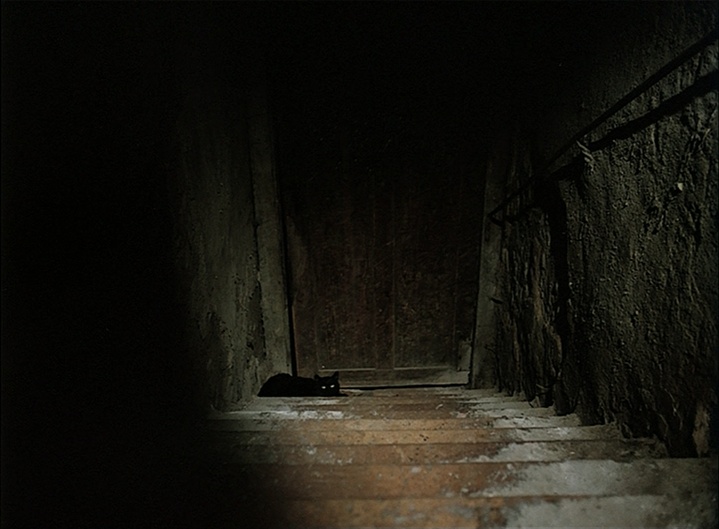 BFI (frame 3942)
