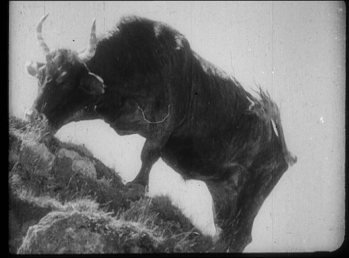 film & kunst (frame 15028)