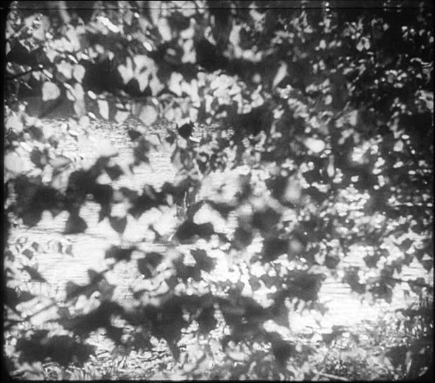 film & kunst (frame 39644)