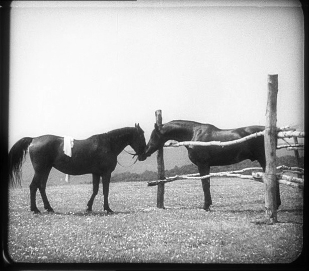film & kunst (frame 42343)