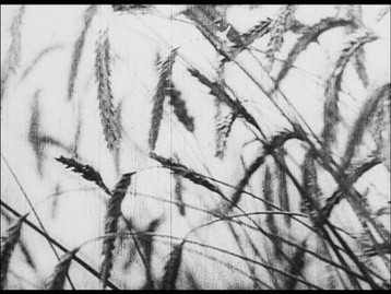 National Film Archive (frame 54949)