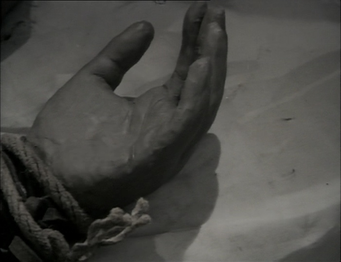 BFI (frame 204)
