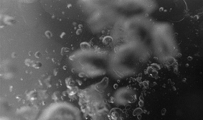 Universum Film (frame 110678)
