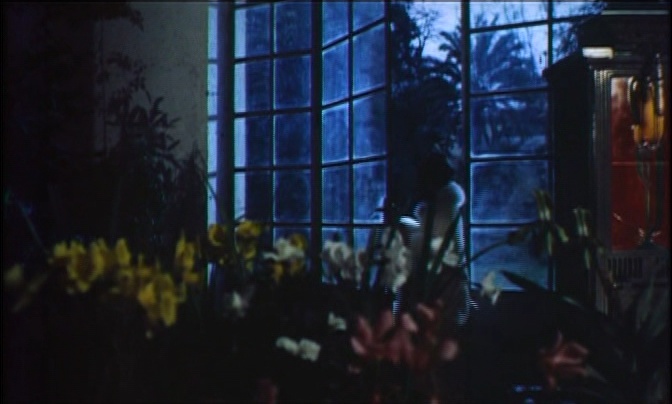 Artus Films (frame 20416)
