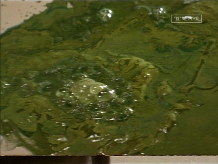 TCM DVB (frame 76651)