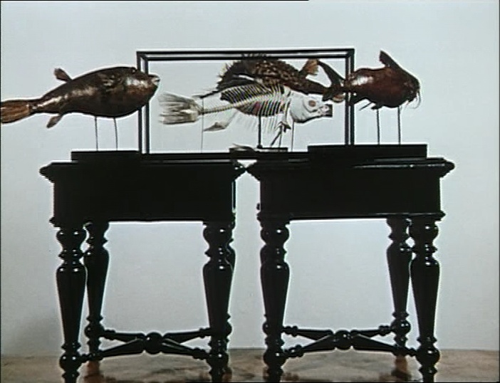 BFI (frame 3888)