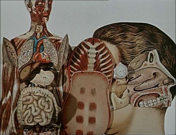 BFI (frame 11362)