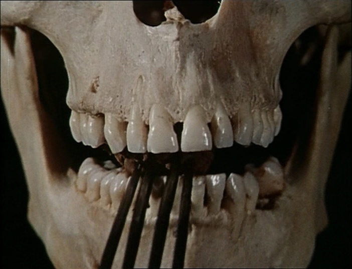 BFI (frame 12499)