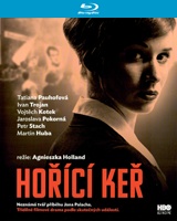 Magic Box (CZ) / Blu-ray